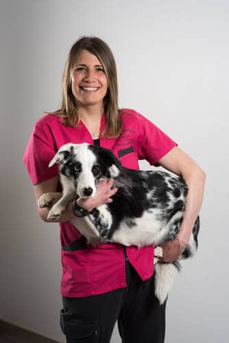 Clinique vétérinaire Nac et Compagnie - Sillingy - Epagny