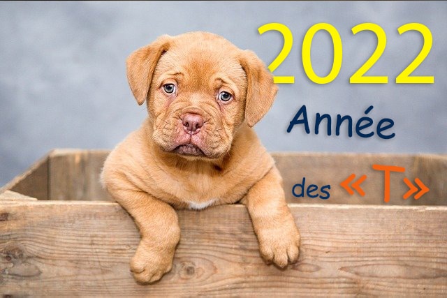 Annee-des-T2.jpg
