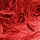 Globules rouges